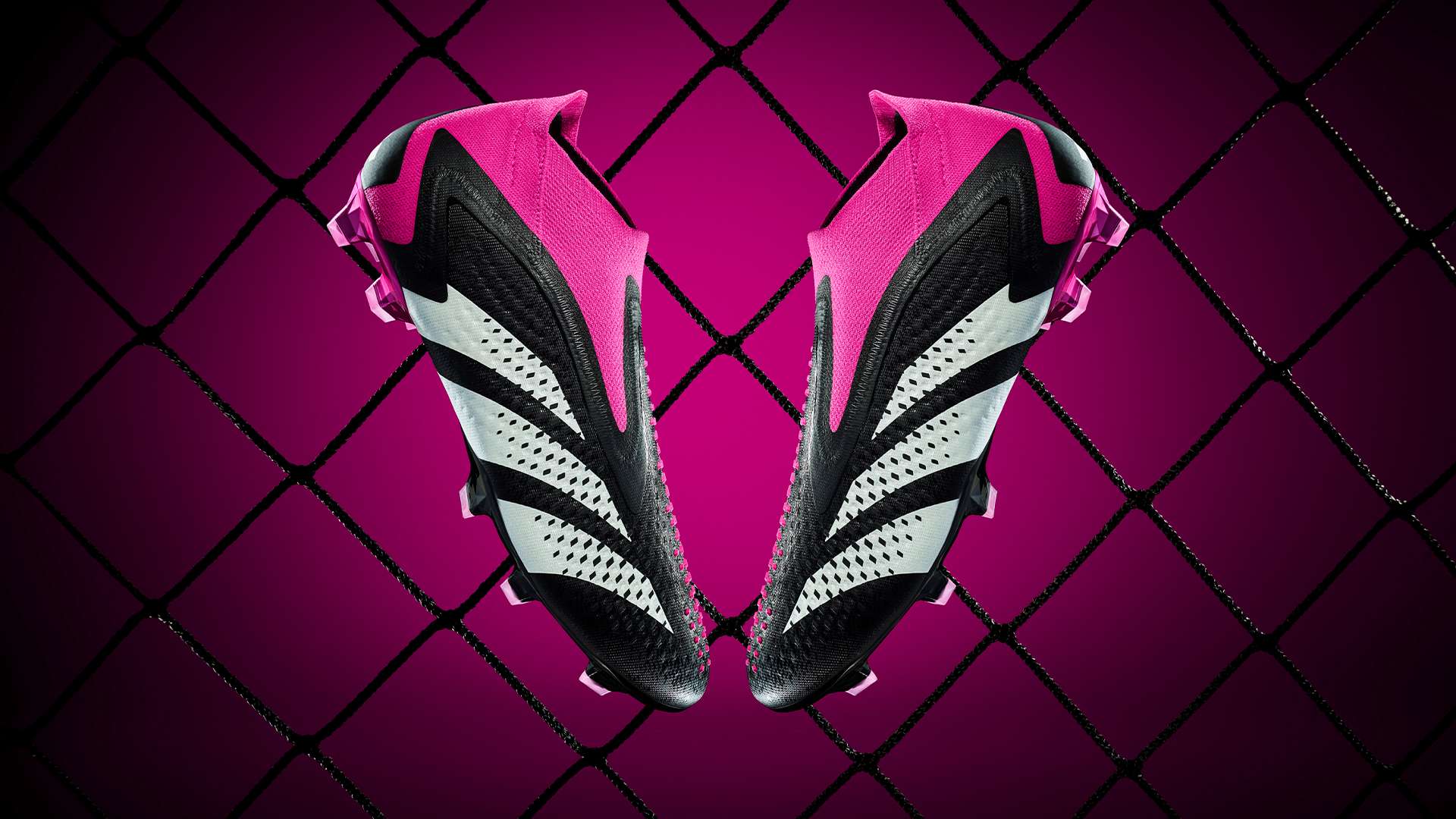 就是正确的 就是正确的